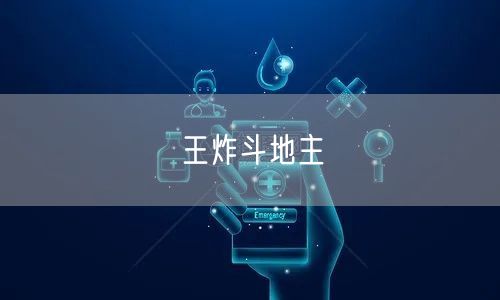 王炸斗地主